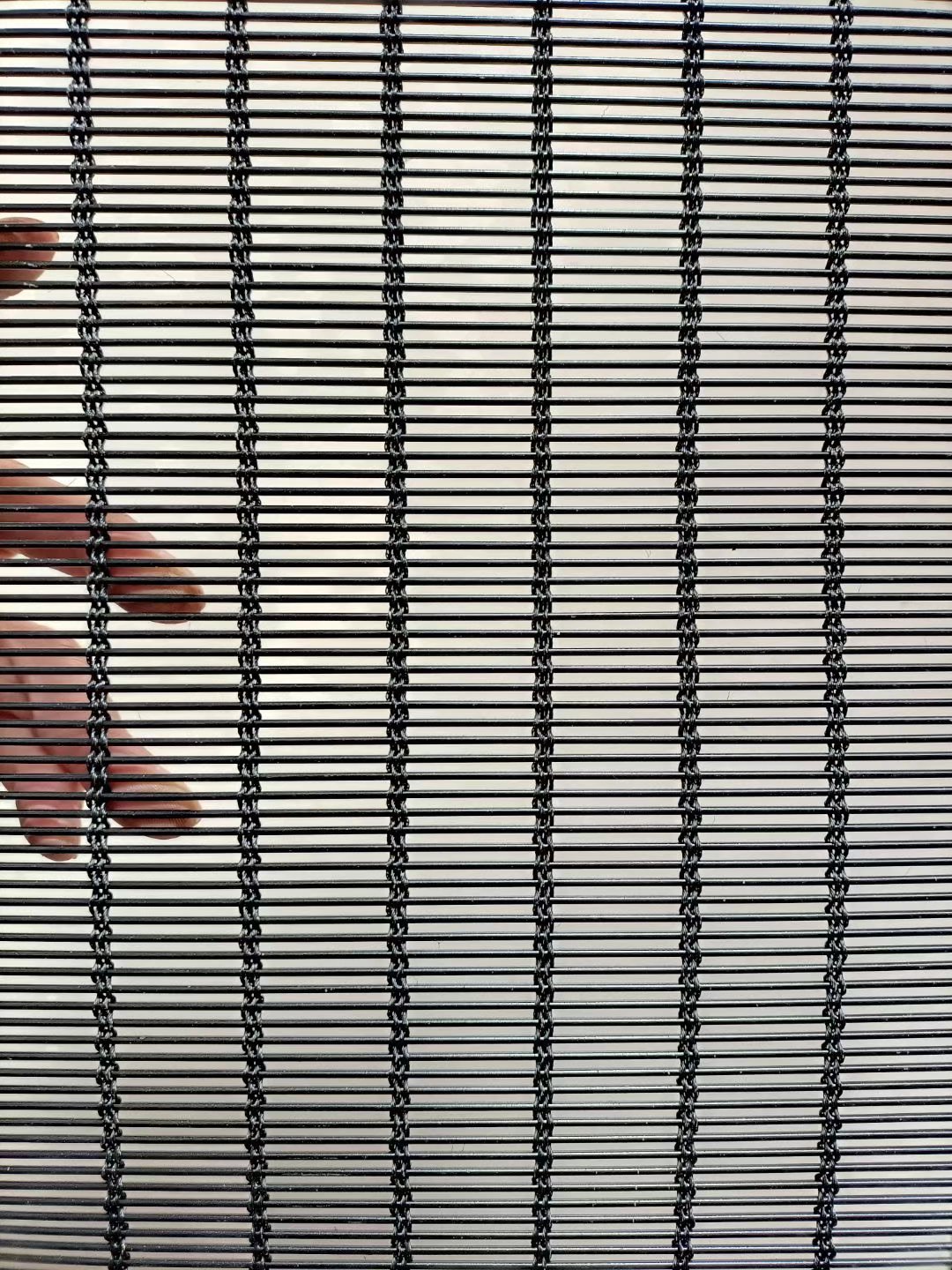 1636534756212897.jpg